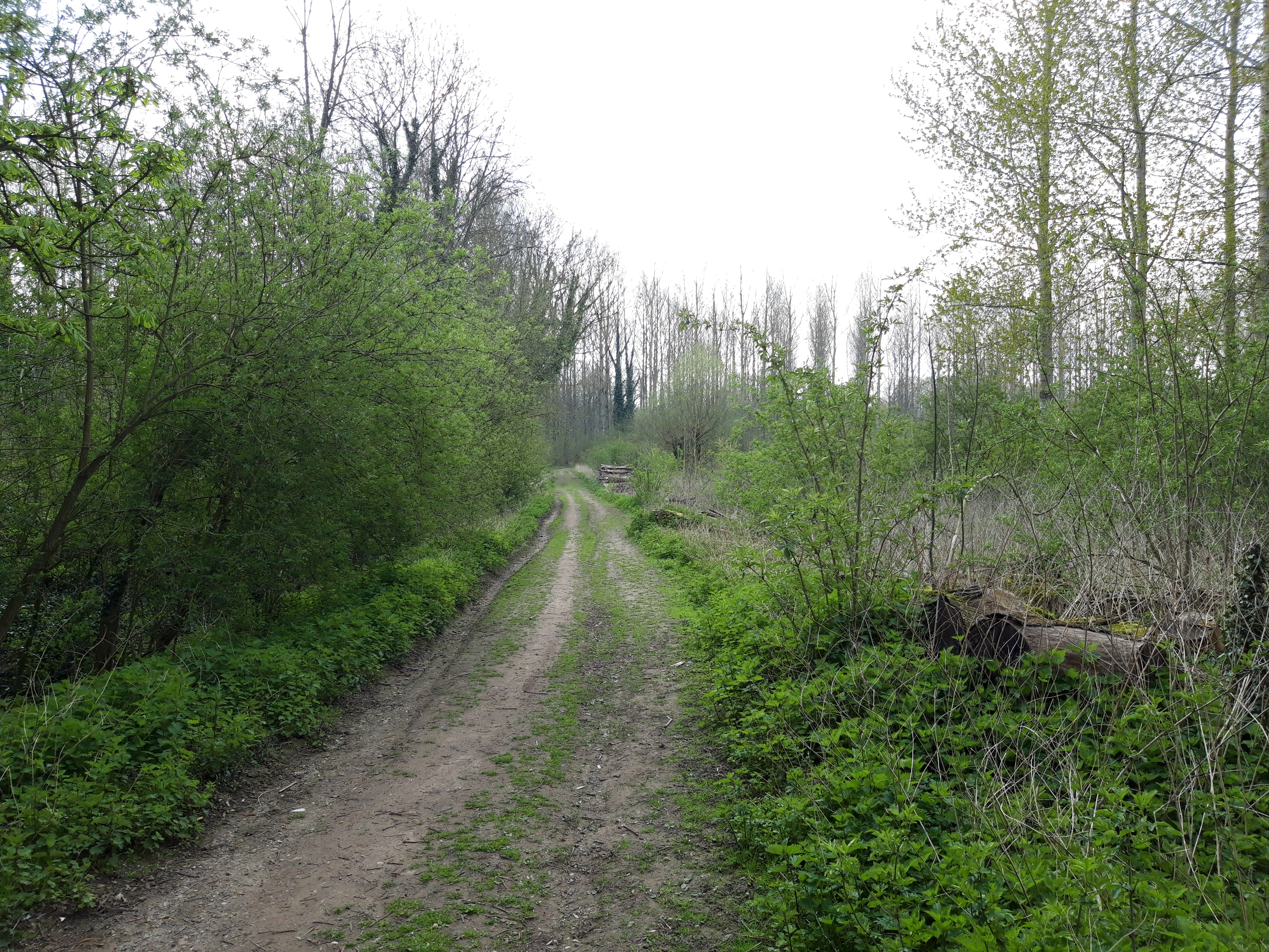 Caulaincourt : rando_St-Martin_3 (en direction de l’Omignon)