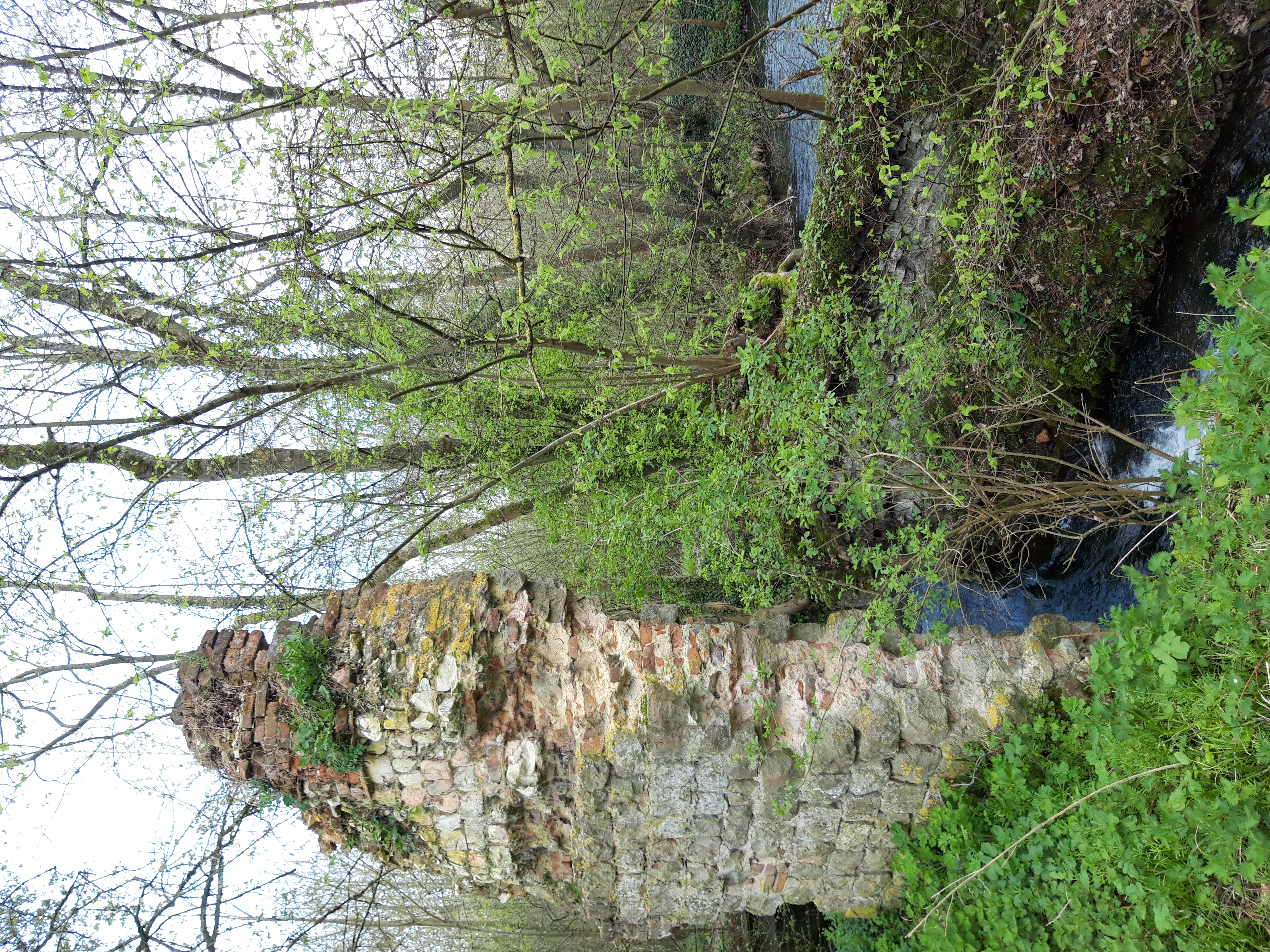 Trefcon : rando_St-Martin_4 (les vestiges d’un moulin sur l’Omignon)